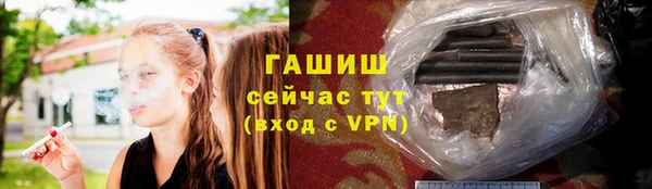 мдпв Новозыбков