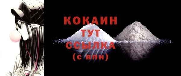 мдпв Новозыбков