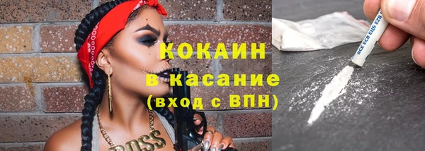 мдпв Новозыбков