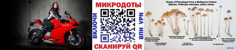 Галлюциногенные грибы мухоморы  kraken вход  Лабинск 