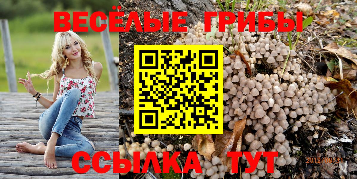 Галлюциногенные грибы ЛСД Лабинск