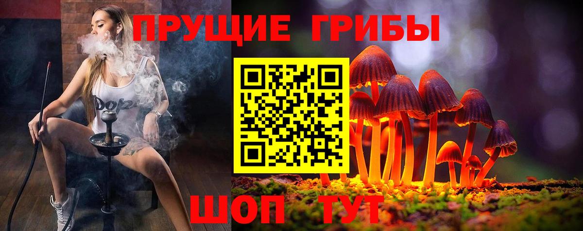 Лабинск  Галлюциногенные грибы прущие грибы  Вход с VPN  Галлюциногенные грибы мицелий 