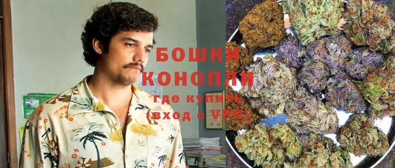 где продают наркотики  Лабинск  Конопля OG Kush 